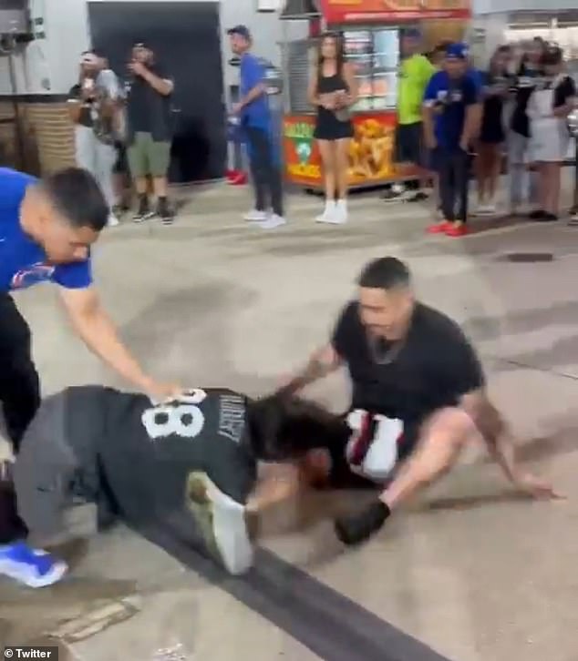 The fighters were not strictly divided by their fan base, as several White Sox fans appeared to be directly fighting each other during the fight.