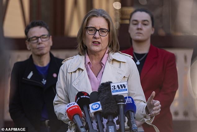 First Minister Jacinta Allan has revealed the government's plans to review the state's bail laws.