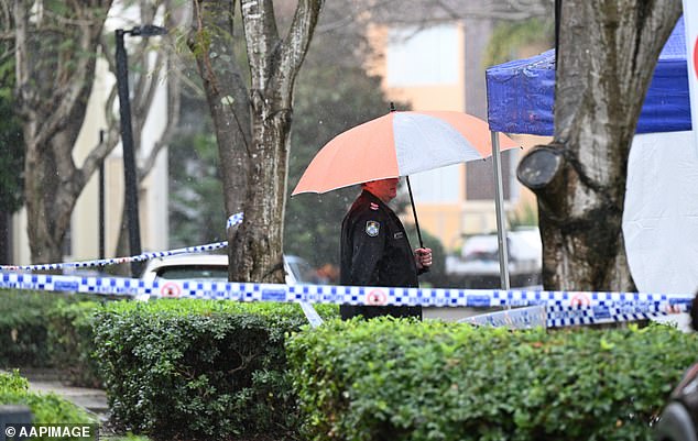 Queensland Police Inspector Lou Serafim said officers had come across a scene 