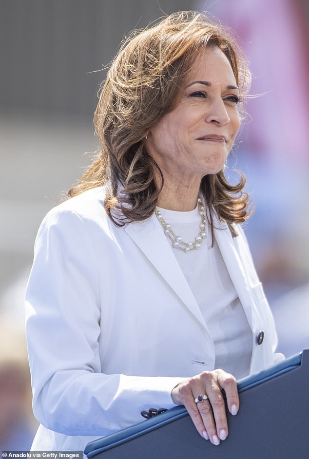 Harris has enjoyed a huge surge in fundraising and a rise in the polls since Biden stepped down.