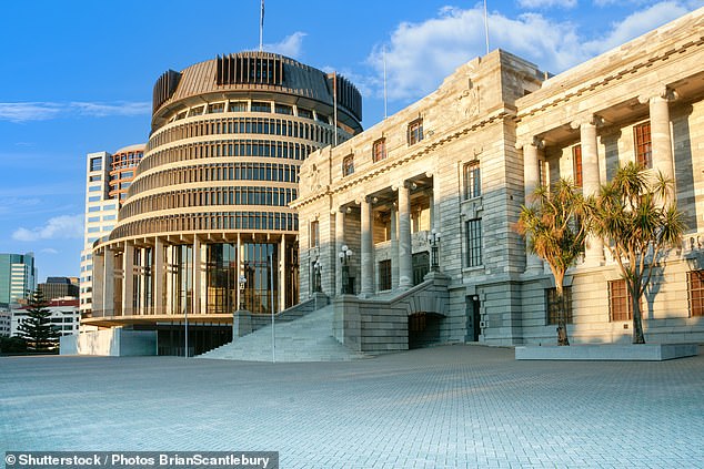 Father of a child found with serious injuries outside New Zealand Parliament