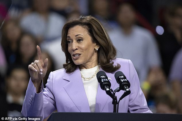 Democratic nominee Vice President Kamala Harris has not given an interview or held a news conference since receiving her endorsement from President Joe Biden on July 21, when she withdrew from the 2024 race.