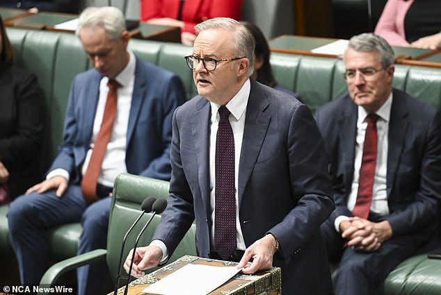 Prime Minister Anthony Albanese (pictured) said Dutton 