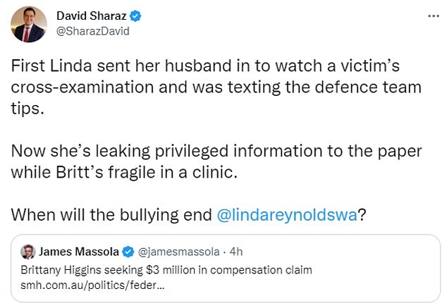 David Sharaz wrote a tweet accusing Linda Reynolds of harassing Brittany Higgins (pictured)