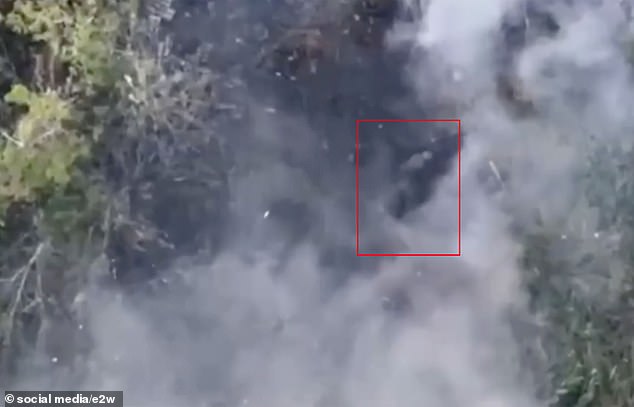 Separate newly released footage shows a Russian fighter jet nicknamed the Terminator appearing to headbutt or punch a kamikaze drone that was following it.