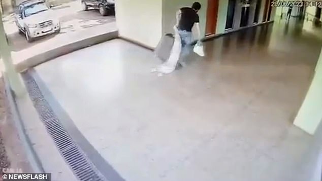 Horrifying footage shows Bittar, 43, struggling to carry the suitcase up two flights of stairs at his home in Luziania, Brazil, on June 28 last year.