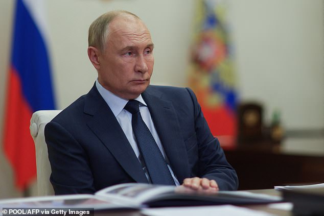 Putin (pictured) has invested heavily in his country's military.