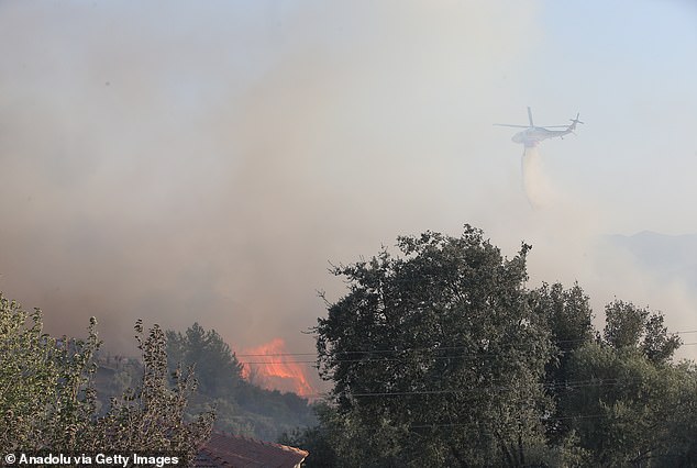 Wildfires have been raging across Turkey, including this blaze in the tourist-popular Milas district.