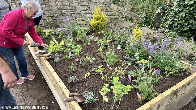 The bed was planted in preparation for Britain in Bloom and in partnership with the village Conservation Group and the Community Council's Biodiversity Project.