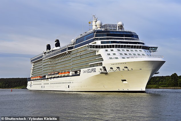 Celebrity Express (above) is a 17-deck, 317-metre-long ship with a capacity of 2,850 passengers and 1,200 crew, owned by the Royal Caribbean Group and registered in the Bahamas.