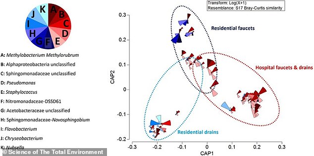 Researchers at Flinders University have warned that toilets are 