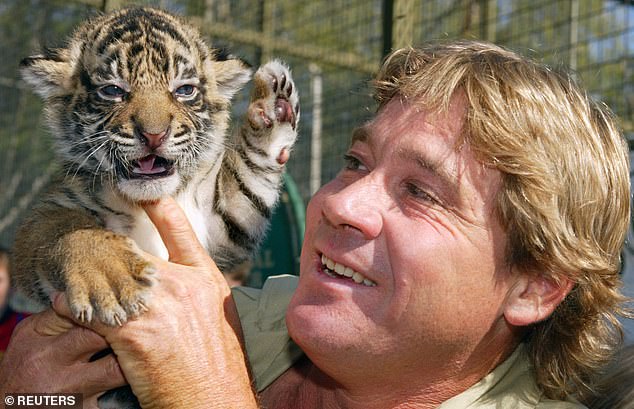 Celebrity wildlife carer and TV star Steve Irwin was killed by a stingray barb on the north Queensland coast