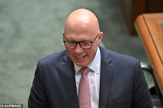 For the most part, Dutton's comments will only entrench opposition among voters who would no longer consider supporting a coalition government.