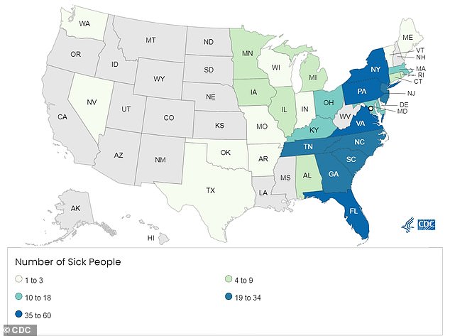 1723840358 688 Cucumber recall in dozens of states due to massive salmonella