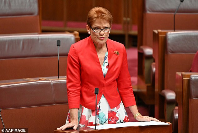 One Nation leader Senator Pauline Hanson said she was opposed to the new verification tool, which she called 