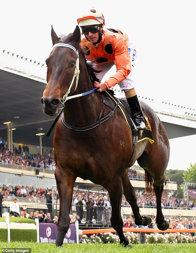 Black Caviar's record of 25 wins from 25 starts is unlikely to ever be surpassed.