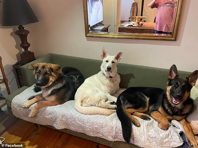 Syko (center), the German shepherd, is known to have attacked at least five dogs.