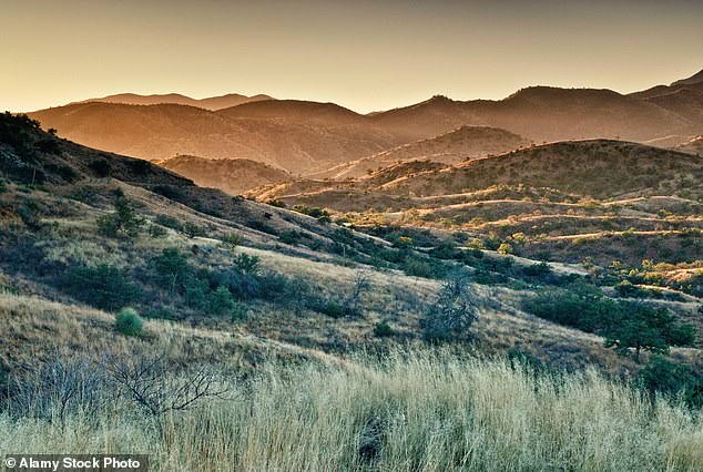 The cat was spotted in a desert scrub, like the one pictured above, at a lower altitude than most historical records of the species in Arizona.