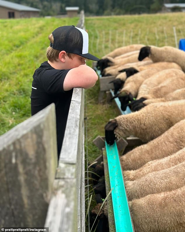 She also shared a photo of Jack watching a herd of goats eating from a feeder.