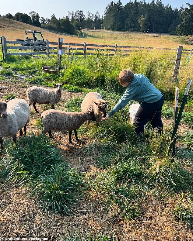 They also spent the day feeding sheep as seen in another adorable photo of Jack.