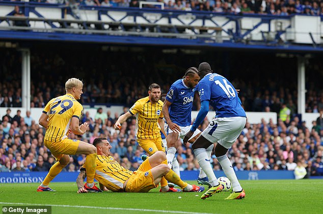 VAR adjudged that Calvert-Lewin had not been fouled by Brighton's Lewis Dunk.