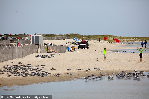 Forecasters are also warning the public in New England and New York to beware of dangerous rip currents due to Ernesto (pictured: Jones Beach Field in New York)