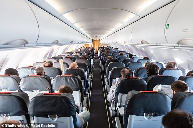 While some passengers may find the requests annoying, Keana stresses that the rules are there simply for safety reasons and are enforced by the Federal Aviation Administration (file image)