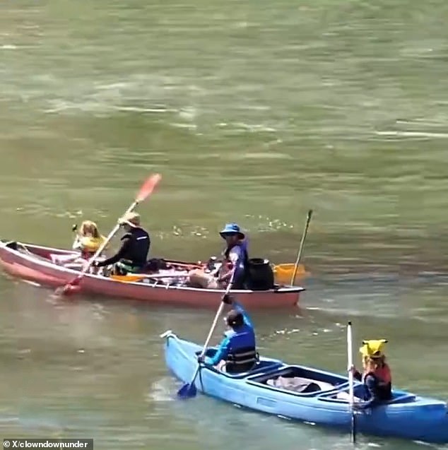 The groups were seen canoeing in the water metres away.