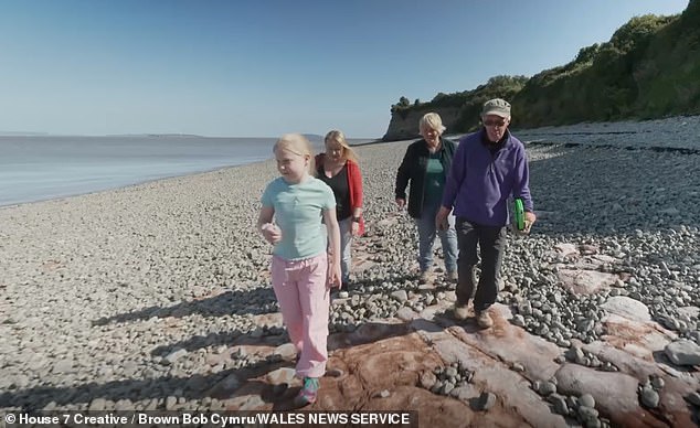 Palaeontologist Cindy Howells, from the National Museum of Wales, inspected the marks left on the rock and said it was 