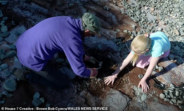 Cindy Howells claims that these footprints were made by a reasonably large herbivorous dinosaur.