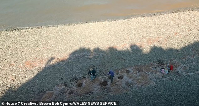 This stretch of coastline is a favourite with fossil hunters and is close to where four-year-old Lily Wilder found another perfectly preserved footprint in 2021.