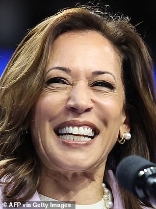 Vice President Kamala Harris pictured above in 2024