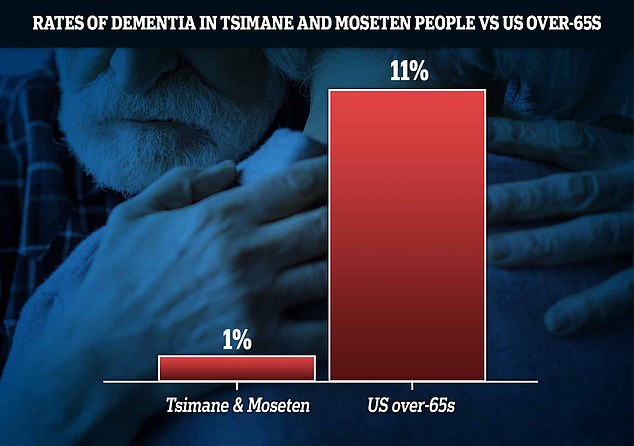 Tsimane and Mosetén hunter-gatherer communities in the Bolivian Amazon have dementia rates 11 times lower than in the United States, a study says