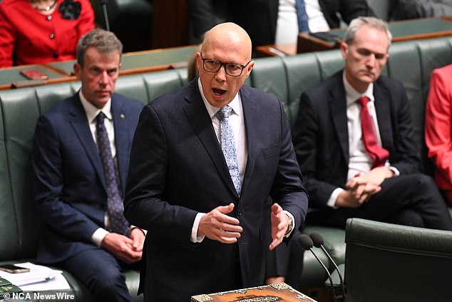 According to the Australian Financial Review/Freshwater Strategy poll, based on two-party preference, the government has 49 per cent to the opposition's 51 per cent (pictured, Peter Dutton)