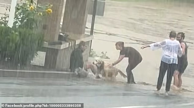 Later footage from the rescue in Southbury, Connecticut, shows the driver, the dog and the man who rescued them together on dry land.