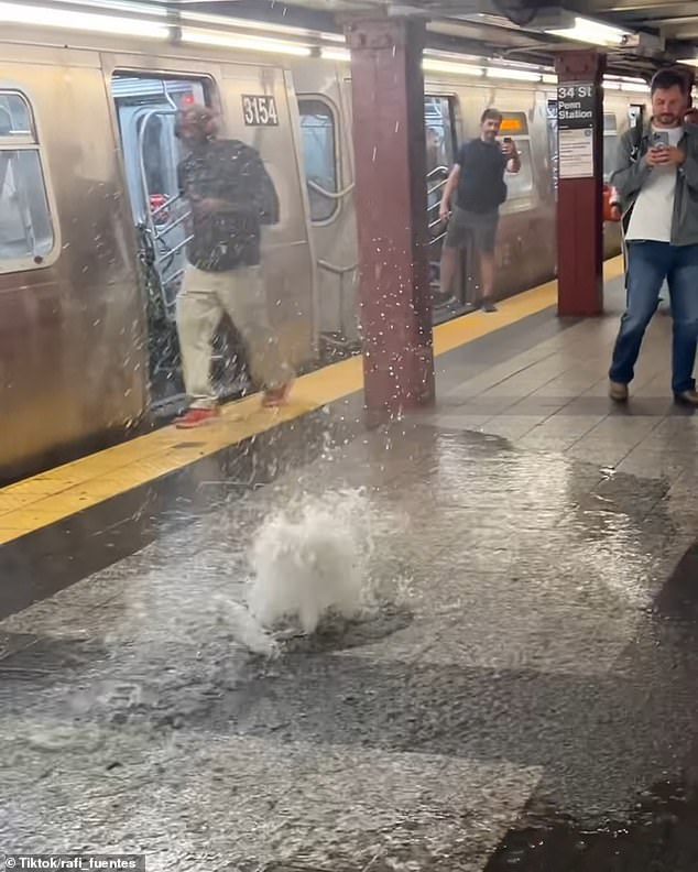 Floodwaters have also affected the subway system, even bursting through grates in the ground near Penn Station in downtown New York City.