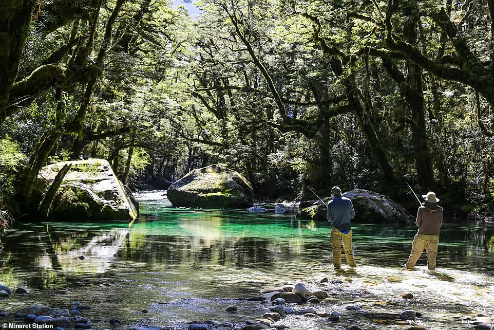 Minaret Station offers backcountry fishing expeditions and horseback riding on the farm.