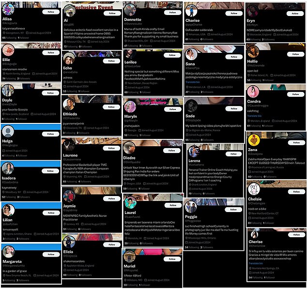 Pictured: 31 of the 37 profiles that tweeted their support for Linda Reynolds on Friday