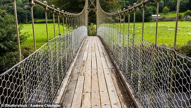 There is a quick way to get all four people across the rickety bridge, but to do so, readers must find a way to prevent 10 and 7 from crossing the bridge together first, since they are the slowest of the group.