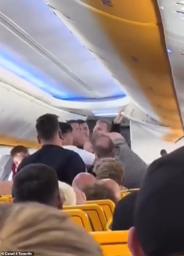 Another passenger lunges at him and punches him in the face before he can restrain him.