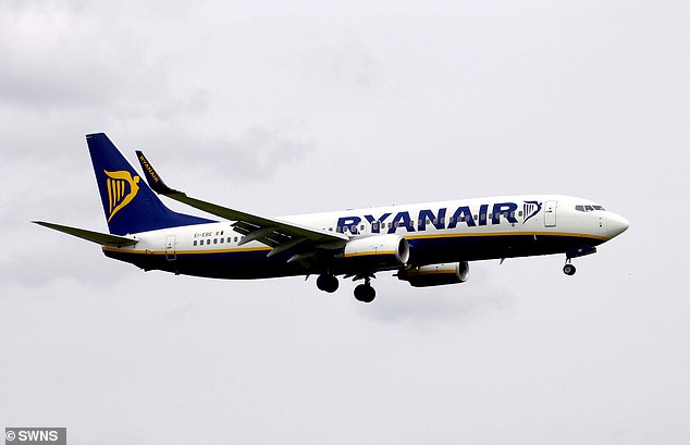 The aircraft was a Ryanair Boeing 737. (Pictured here is an archive image of a Ryanair Boeing 737)