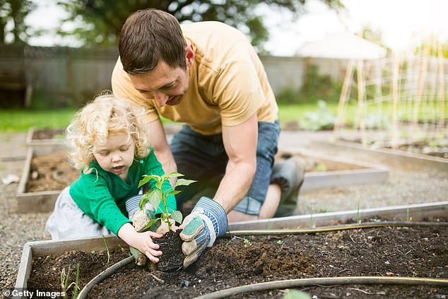 The Royal Society of Chemistry, the Institute of Physics, the Royal Society of Biology and the Association for Science Education all say children need to be able to relate concepts to real life (stock image)