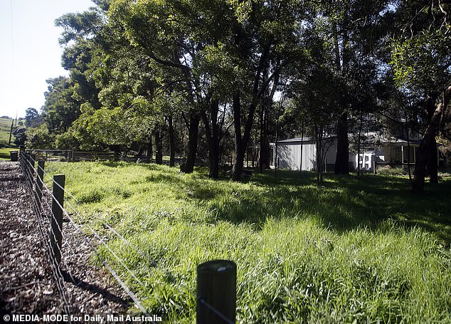 Erin Patterson's once prestigious home in Leongatha now appears to be overgrown with vegetation.