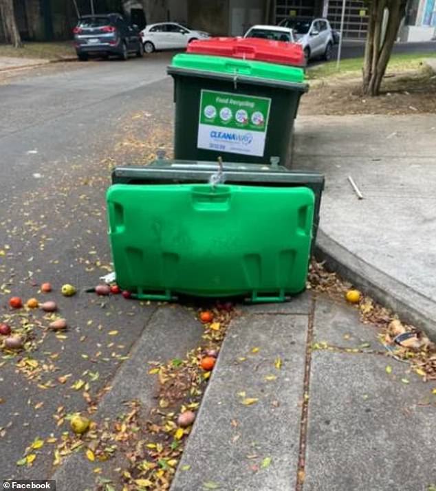 Farmer's Pick estimates that around 2.4 billion kilograms of produce are rejected each year before it leaves a farm (pictured, fresh produce abandoned inside a green bin at the back of a grocery store in Sydney)