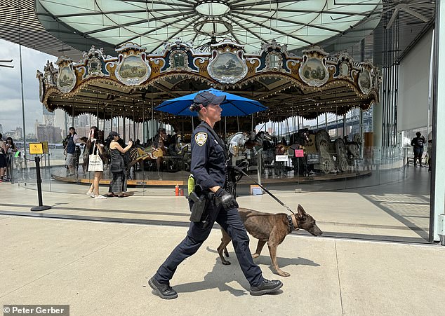 It was just a few feet away from the iconic Jane's Carousel, which was built in 1922 and donated to the park in 2011 after years of restoration.