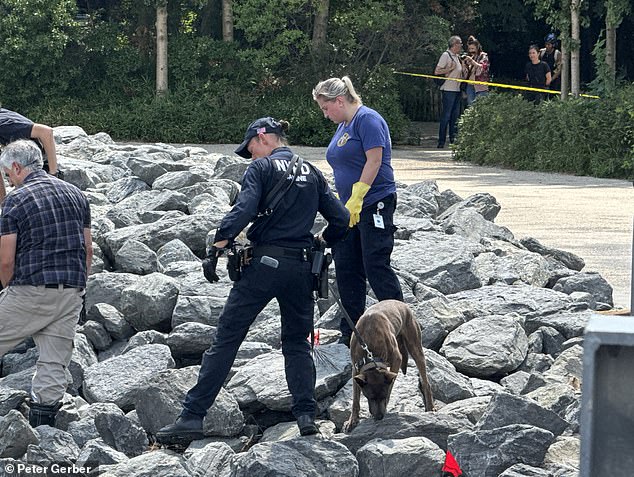 Members of the Office of the Chief Medical Examiner and the New York Police Department were seen searching the rocks for more remains.