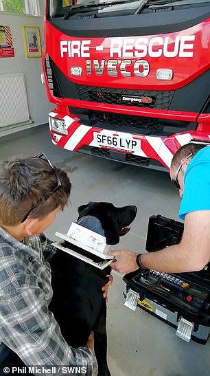 Members of the fire department removed the flap from Luis's neck