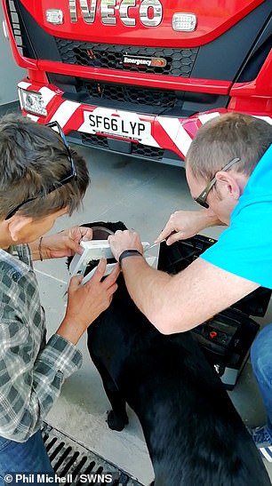 Phil lives around the corner from the Devon and Somerset Fire and Rescue Service depot in Bampton and Luis was freed by a firefighter.