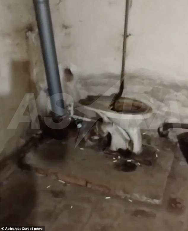 Shocking images show the inside of this factory of suffering