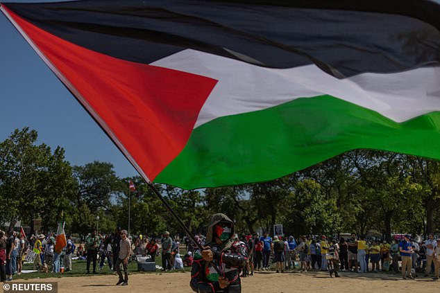 Pro-Palestinian rally at the Democratic National Convention